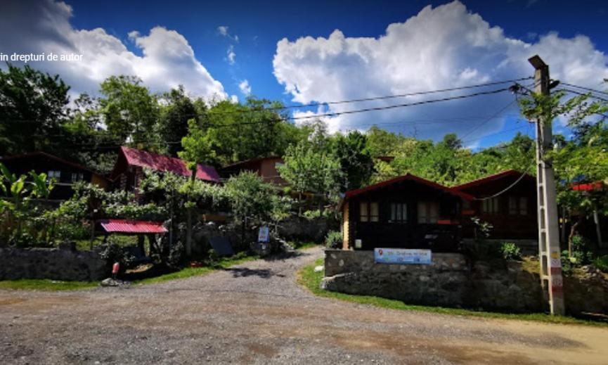 Gratca Nr 164 Orsova Villa Bagian luar foto