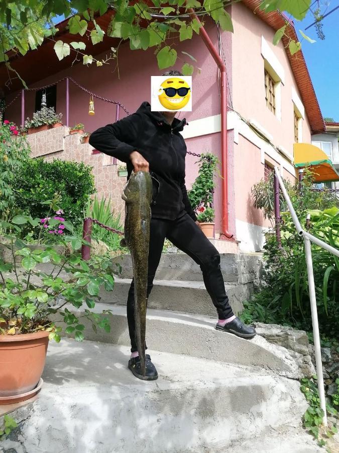Gratca Nr 164 Orsova Villa Bagian luar foto