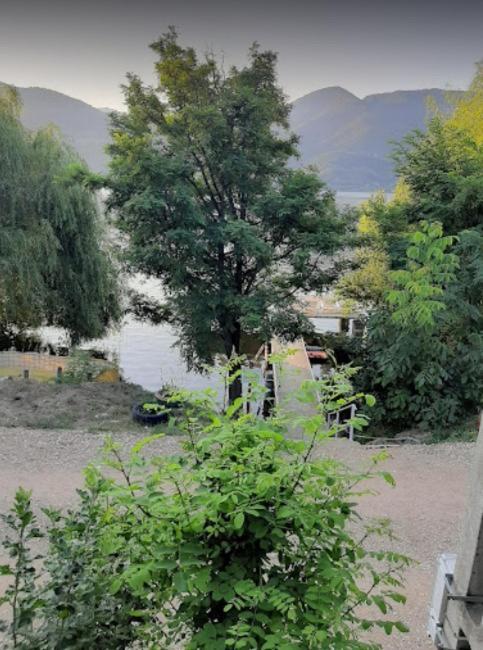 Gratca Nr 164 Orsova Villa Bagian luar foto